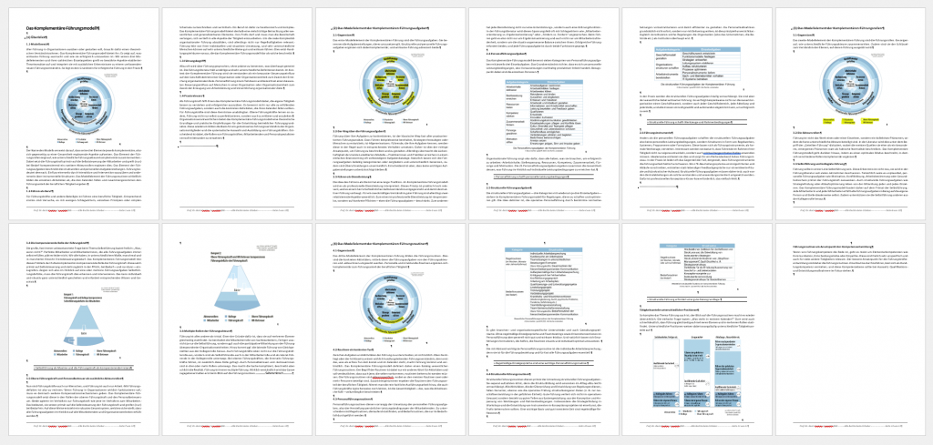 Screenshot des Handouts